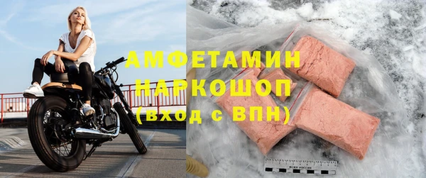 молекула духа Киреевск
