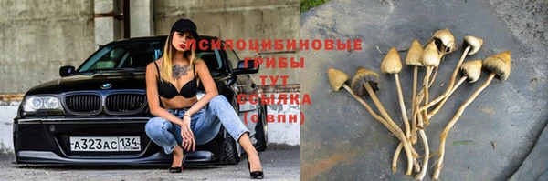 молекула духа Киреевск