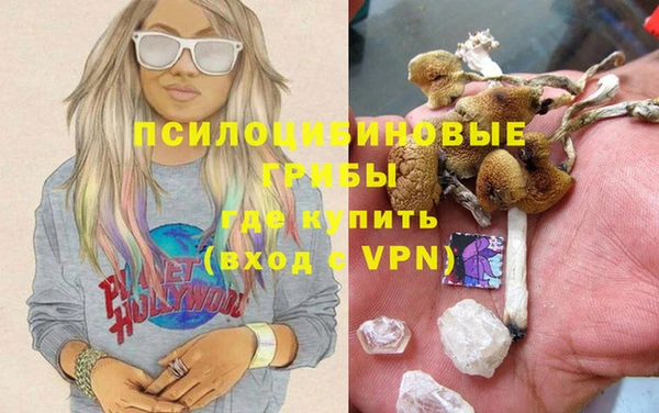 молекула духа Киреевск