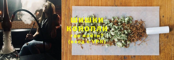 молекула духа Киреевск
