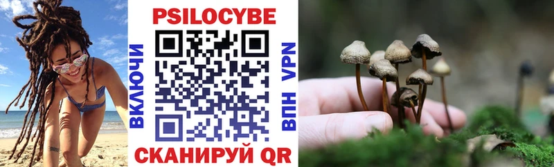 Псилоцибиновые грибы мухоморы  Купить закладки  Барыш 