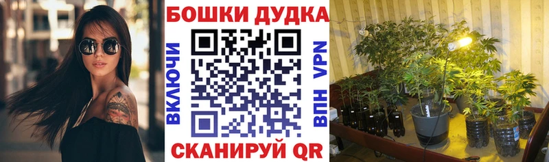 Марихуана MAZAR  Купить закладки  Барыш 